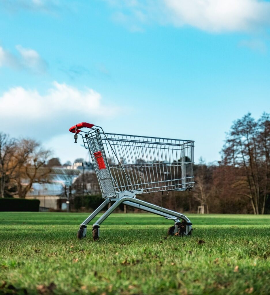 Impact buying vragenlijst